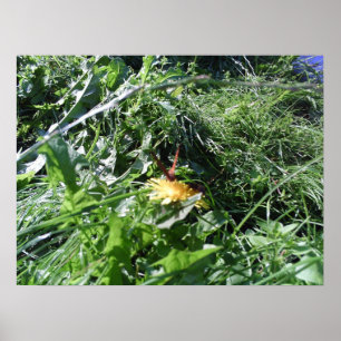 Garden Weeds Choking Garden Poster Print