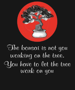 Bonsai Quotes Gifts Gift Ideas Zazzle Uk