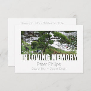 Garden with Cats In Loving Memory 8 Template