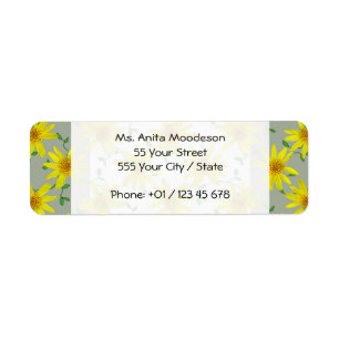 Garden Yellow Arnica Wildflower on any Colour