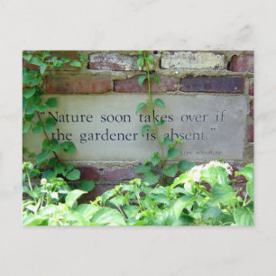 Gardener and Nature Quotation Postcard