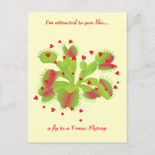 Gardener in Love Postcard