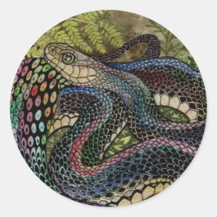 Gardener Snake Study Beyond the Skin  Classic Round Sticker