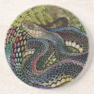 Gardener Snake Study Beyond the Skin  Coaster