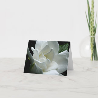Gardenia Card
