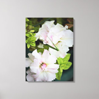 Gardenia Floral Canvas Print