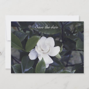 Gardenia Floral Save The Date Card