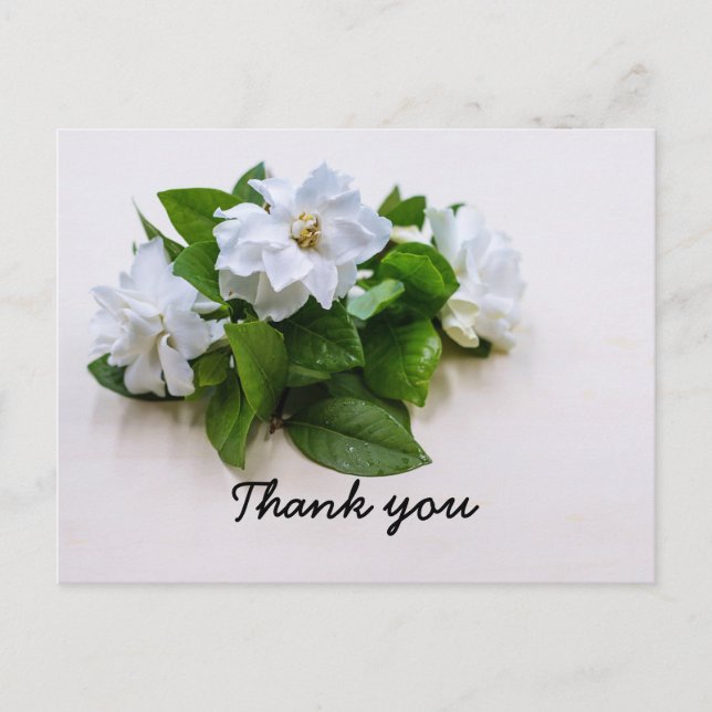Gardenia flowers Sympathy Thank You Flat Card (Front)