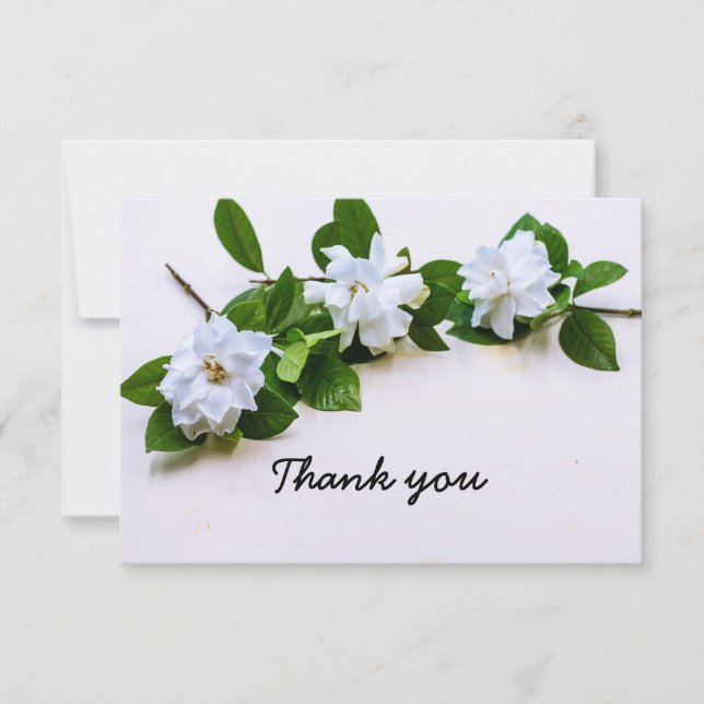 Gardenia flowers Sympathy Thank You Flat Card (Front)