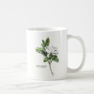 Gardenia Jasminoides (Common Gardenia) Coffee Mug