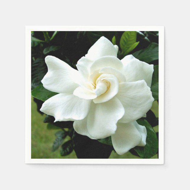 Gardenia Napkin (Front)