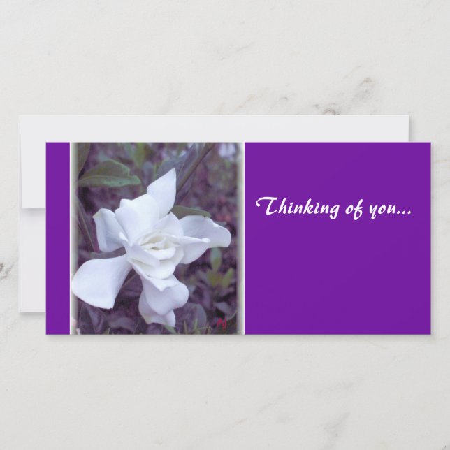 Gardenia tint Thinking of you... (Front)