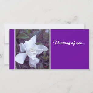 Gardenia tint Thinking of you...