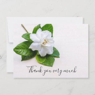 Gardenia white flower on wooden background thank you card