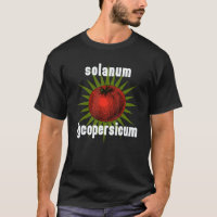 Gardening 4\Garden Saying Tomato Solanum Lycopersi