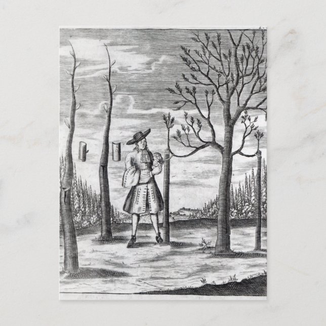 Gardening and Plant Maladies Postcard (Front)