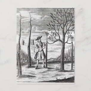 Gardening and Plant Maladies Postcard