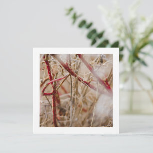 Gardening Business Cards Wild Roses