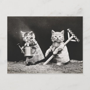 Gardening Kitties   Kitty with Rake Postcard