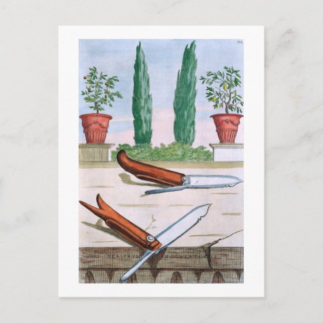 Gardening Knife, from 'Hesperides' by Giovanni Bat Postcard (Front)