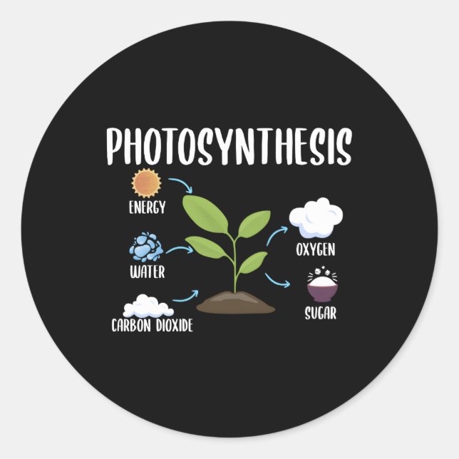 Gardening Plants Photosynthesis Houseplant Classic Round Sticker (Front)