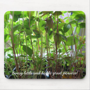 Gardening Seeds Seedlings Photo Custom Text Mouse Mat