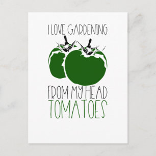 Gardening Tomatoes Postcard