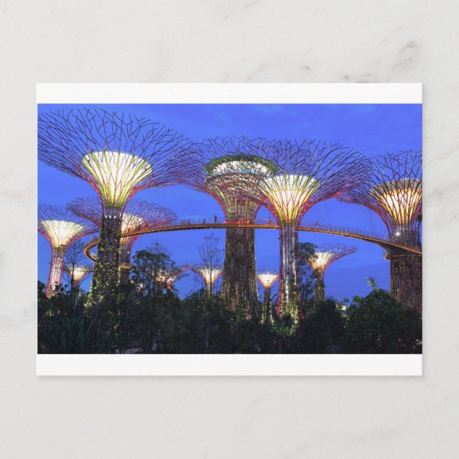 Gardens by the Bay Singapore eco park Postcard (Front)