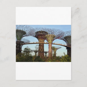 Gardens by the Bay Singapore environmental Postcard