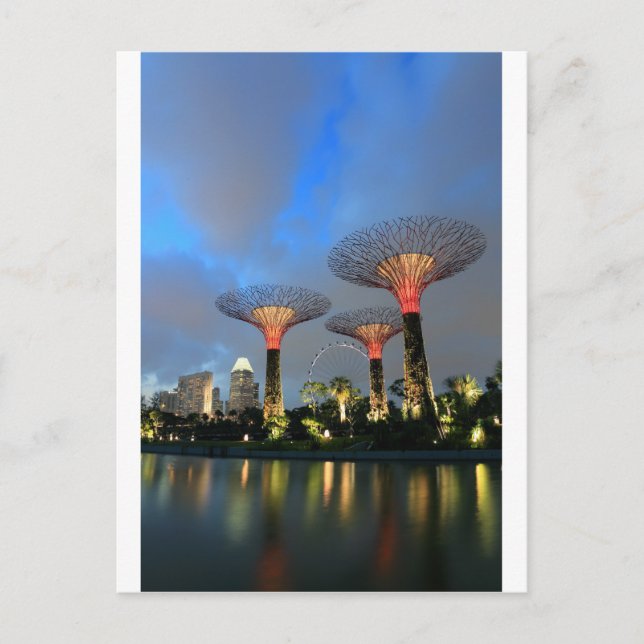 Gardens by the Bay Singapore Supertree Grove Postcard (Front)