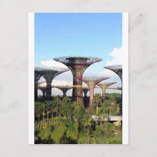 Gardens by the Bay Singapore Supertree Grove Postcard