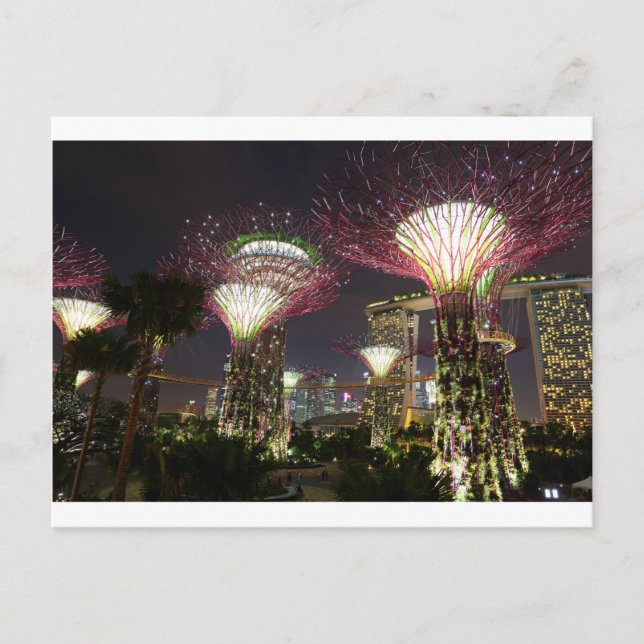 Gardens by the Bay Singapore Supertree Grove Postcard (Front)