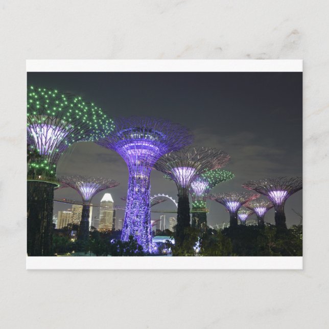 Gardens by the Bay Supertree Grove light show Postcard (Front)