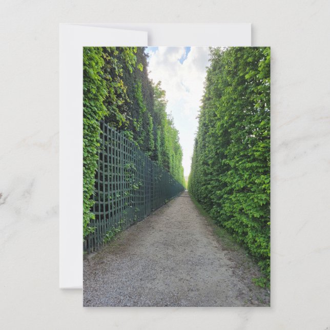 Gardens of Versailles Photo Greetings Card (Front)