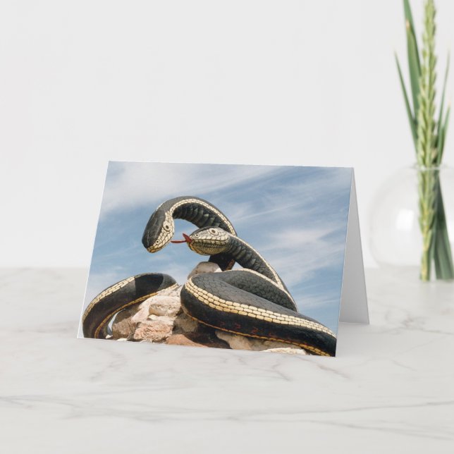 GARDER SNAKE  CARD (Front)