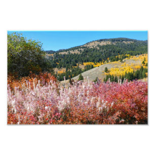Gardiner Mountain Paint  Photo Print
