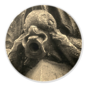 "Gargoyle" Ceramic Knob