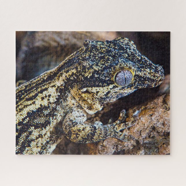 Gargoyle Gecko Pet Lizard Jigsaw Puzzle (Horizontal)