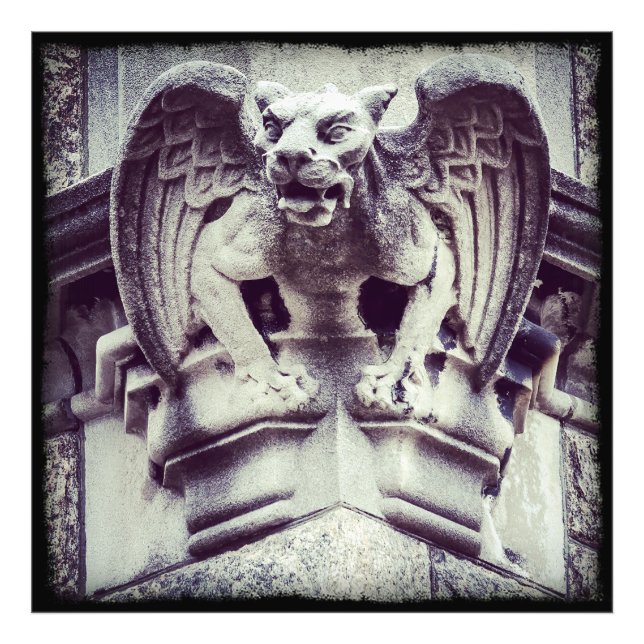 Gargoyle Photo Print (Front)