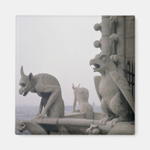 Gargoyles on the balustrade of the Grande Magnet