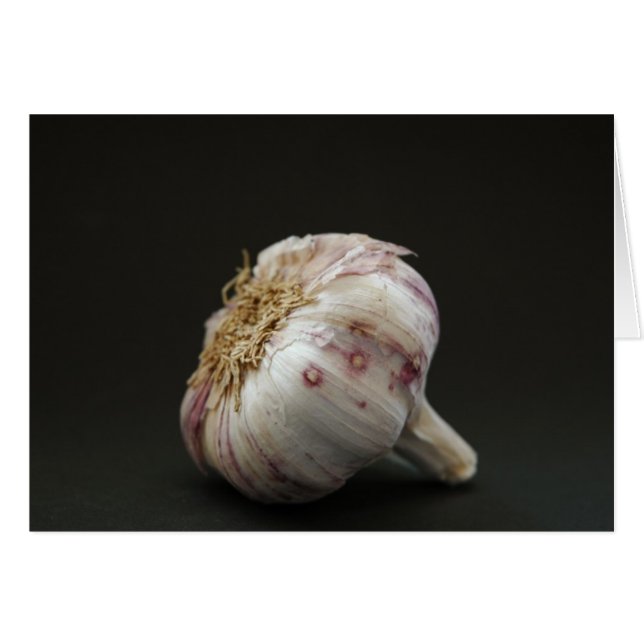 Garlic (Front Horizontal)