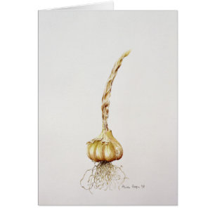 garlic 1998