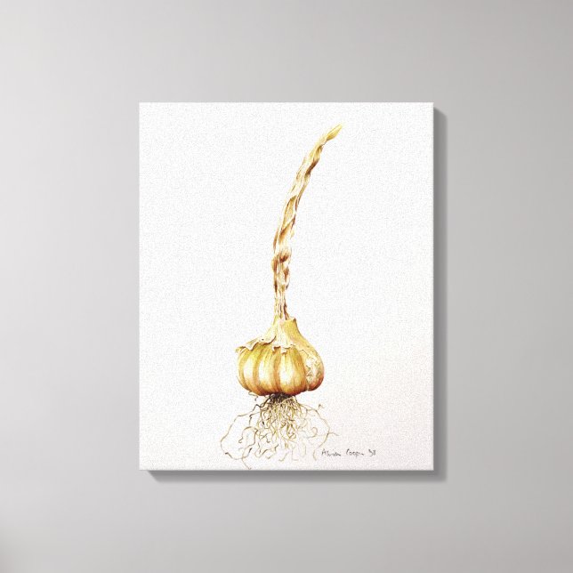 garlic 1998 canvas print (Front)
