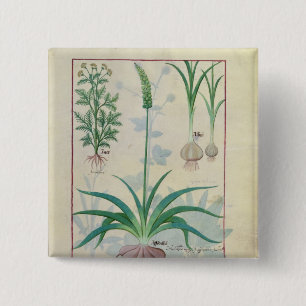 Garlic and other plants 15 cm square badge
