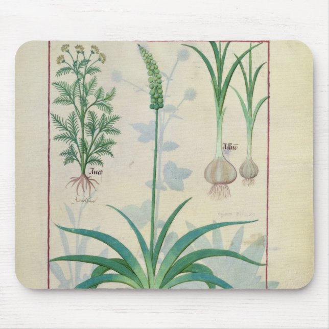 Garlic and other plants mouse mat (Front)