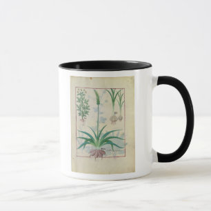 Garlic and other plants mug