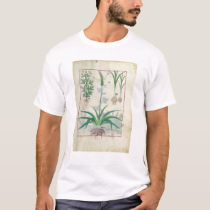 Garlic and other plants T-Shirt