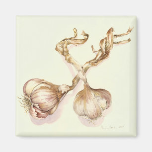 Garlic bulbs 2005 magnet
