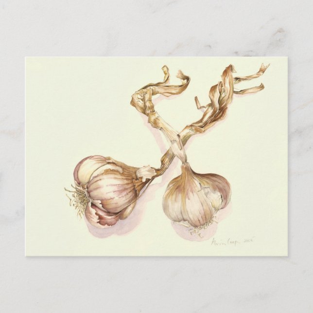 Garlic bulbs 2005 postcard (Front)