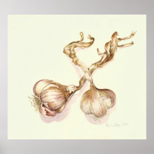 Garlic bulbs 2005 poster